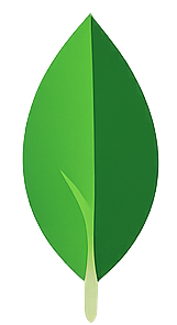 MongoDB